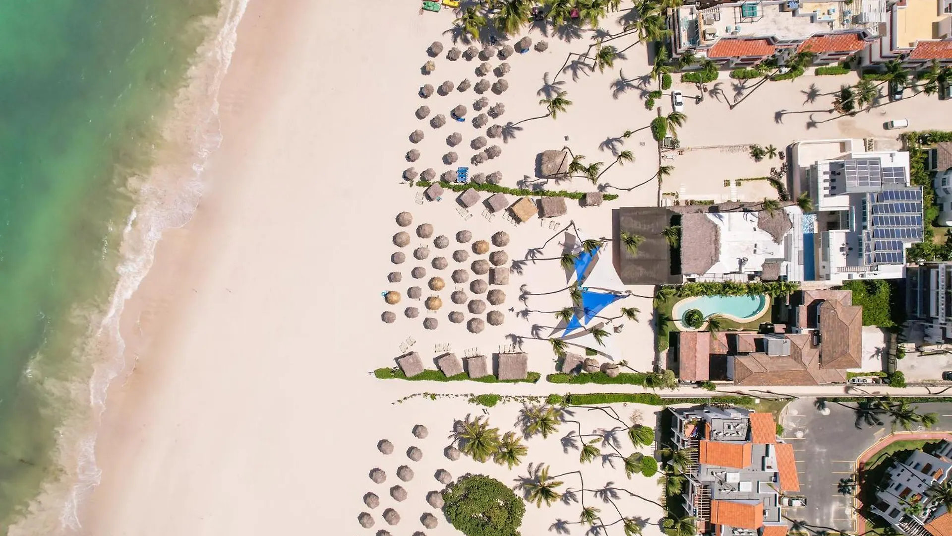 Luxury Villa In Bavaro Just On The Beach بونتا كانا
